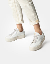 Classic Sneaker Sporty Casual